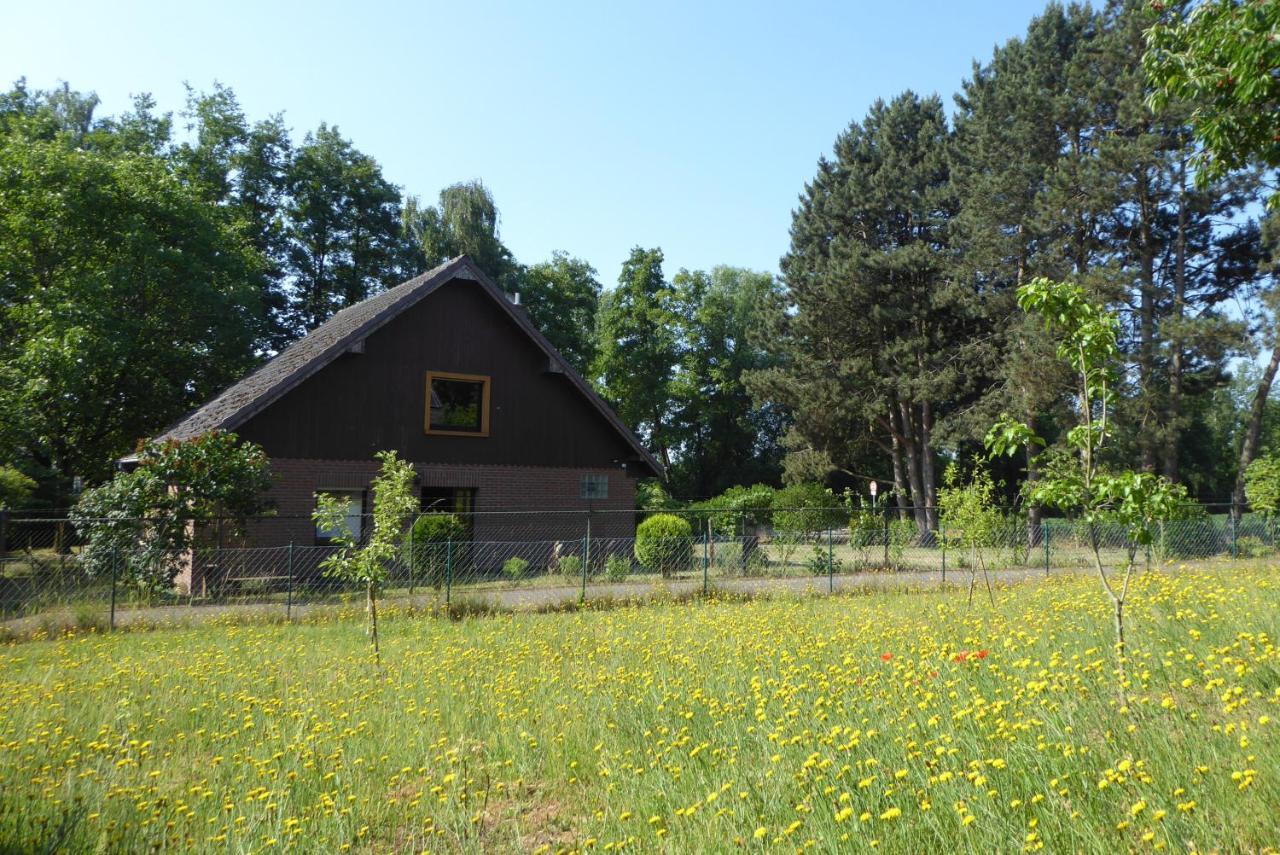 Ferienhaus An Der Borner Muehle Bruggen  Esterno foto