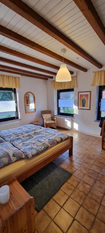 Ferienhaus An Der Borner Muehle Bruggen  Esterno foto